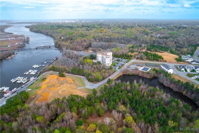 301 Beacon Ridge Dr Unit 109, Hopewell, VA 23860 - aerial view of property and surrounding area with a large body of water and numerous boat docks