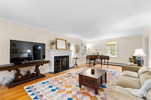 living room featuring baseboards, wood finished floors, crown molding, a fireplace, and a baseboard radiator