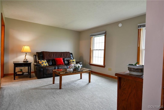 living area with baseboards, a textured ceiling, and carpet