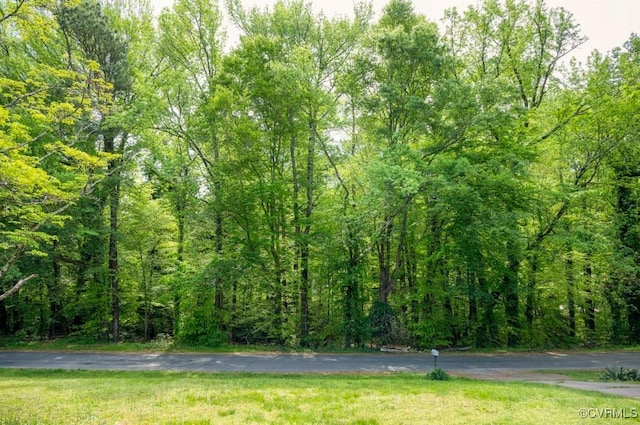 8186 Signal Hill Rd, Richmond, VA 23111 - view of home's community with a yard and a view of trees