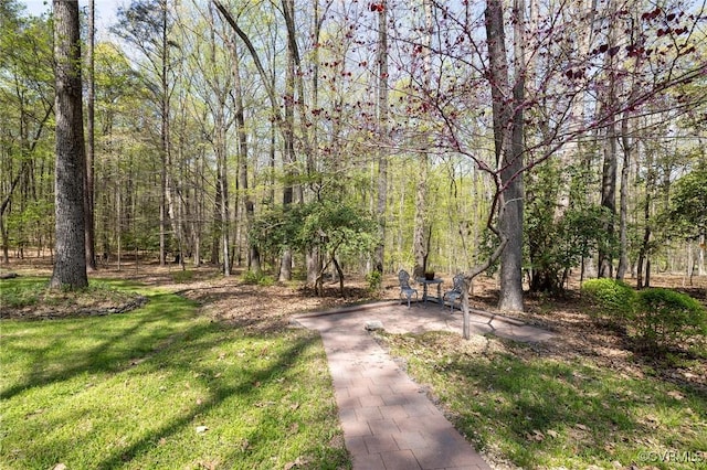 11494 Riveredge Rd, Doswell, VA 23047 - photo 8