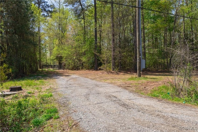 100 Pocahontas Trl, Quinton, VA 23141 - photo 2