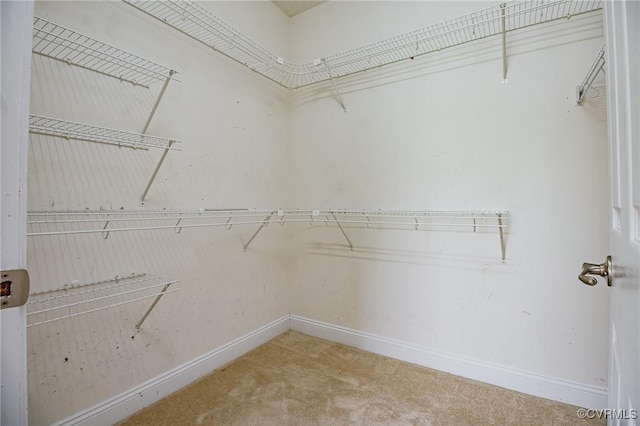 240 Lighthouse Pointe, North Prince George, VA 23860 - walk in closet with carpet flooring
