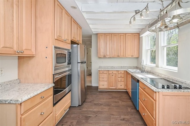 kitchen featuring stainless steel appliances, dark wood-style floors, a sink, light countertops, and light brown cabinets