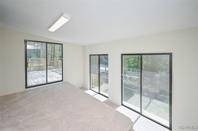 unfurnished room with carpet