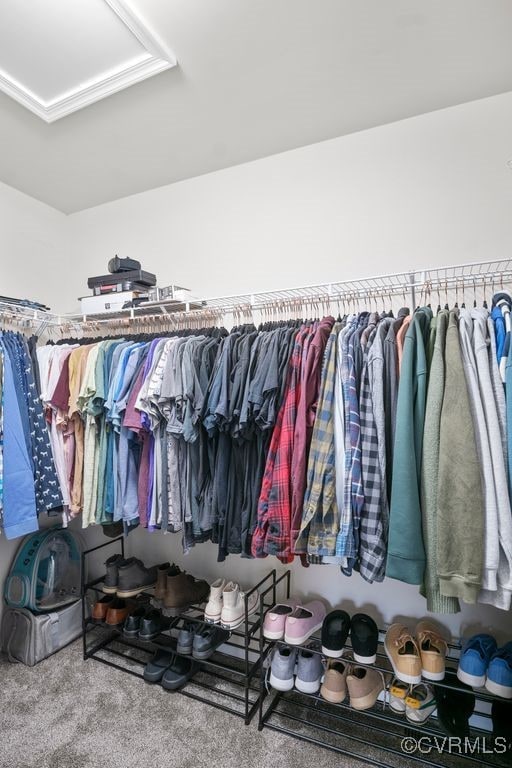 spacious closet featuring carpet flooring and attic access