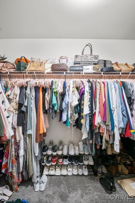 spacious closet featuring carpet