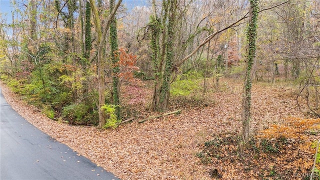 335 Charmian Rd, Richmond, VA 23226