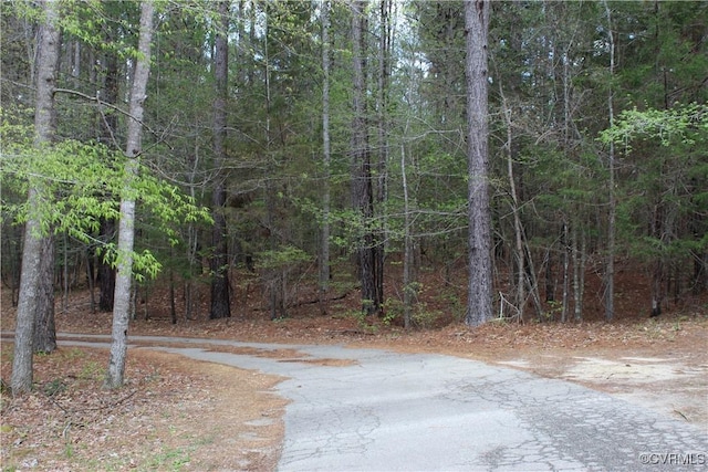 view of street with a wooded view