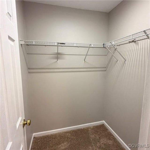 1353 Woodside Mews, Henrico, VA 23231 - spacious closet with carpet