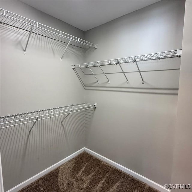 1353 Woodside Mews, Henrico, VA 23231 - spacious closet with carpet