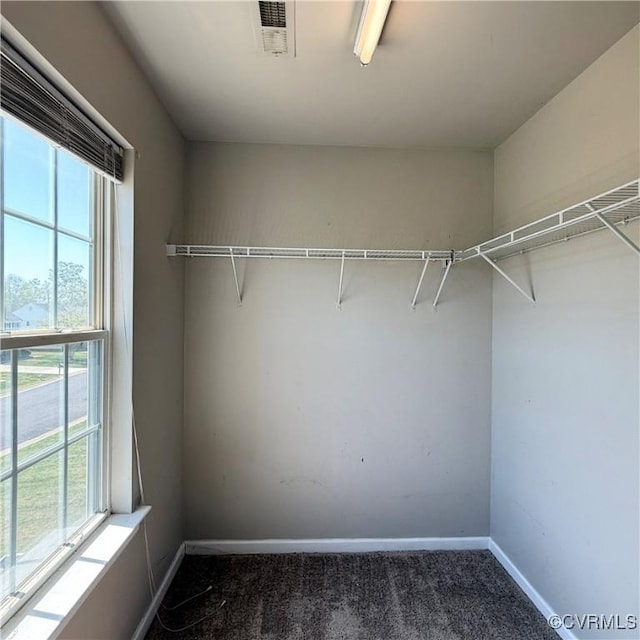 1353 Woodside Mews, Henrico, VA 23231 - spacious closet featuring visible vents and carpet
