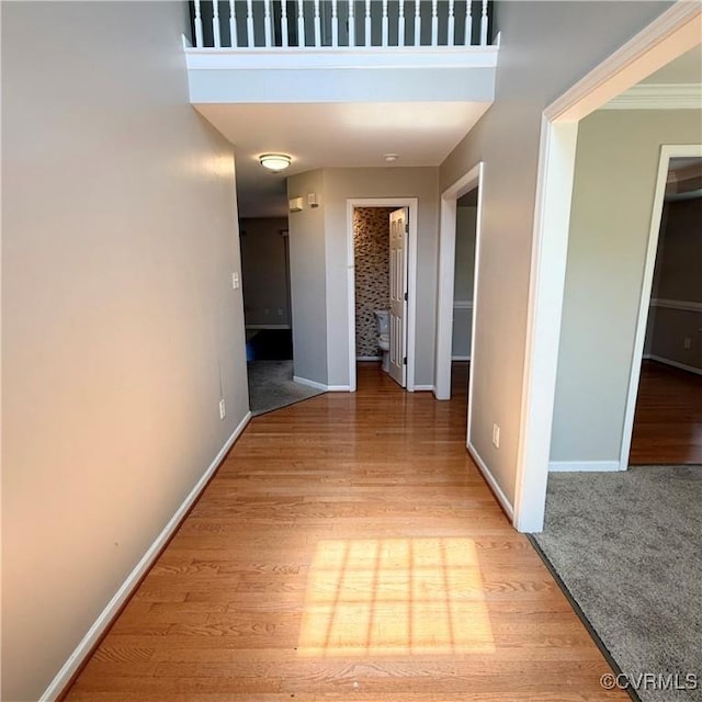 1353 Woodside Mews, Henrico, VA 23231 - hall with light wood finished floors and baseboards
