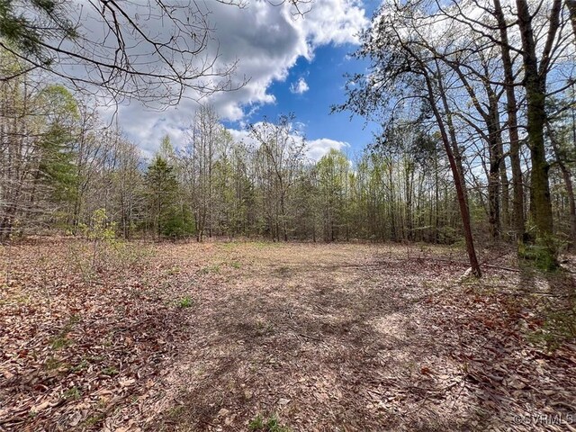 116.32ACRES Gilliam Mill Rd, Dillwyn, VA 23936