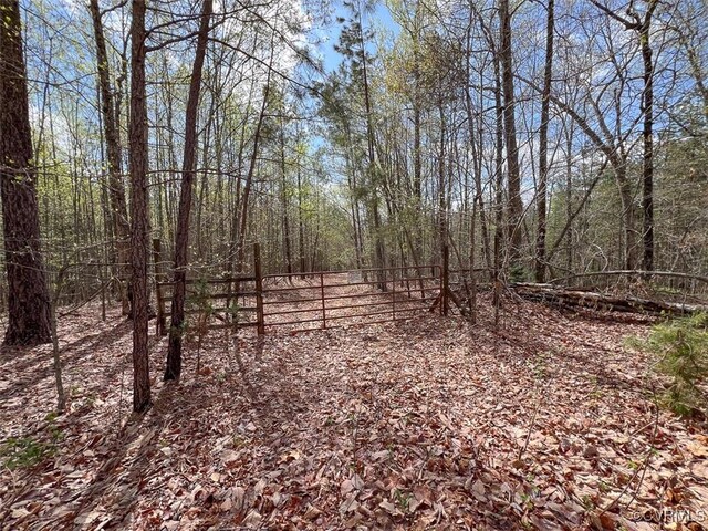 116.32ACRES Gilliam Mill Rd, Dillwyn, VA 23936