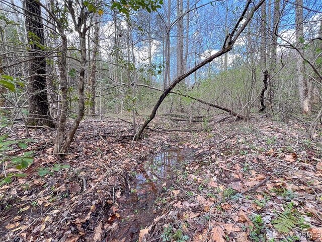116.32ACRES Gilliam Mill Rd, Dillwyn, VA 23936