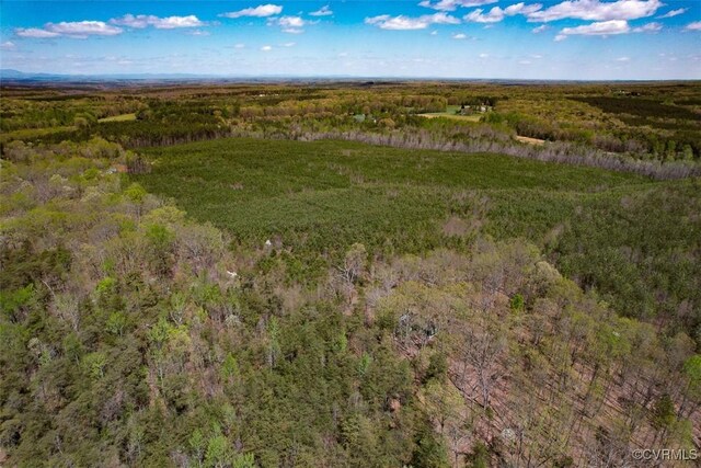 116.32ACRES Gilliam Mill Rd, Dillwyn, VA 23936