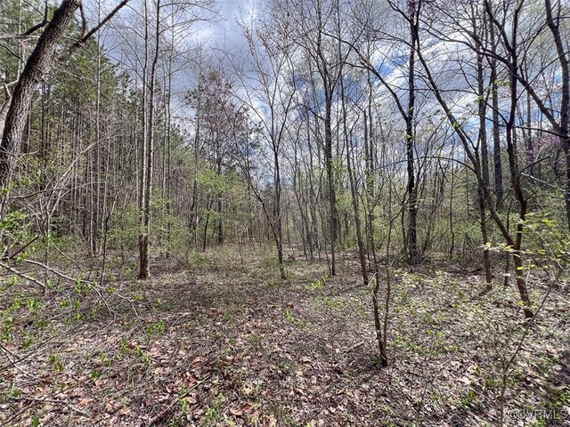 116.32ACRES Gilliam Mill Rd, Dillwyn, VA 23936