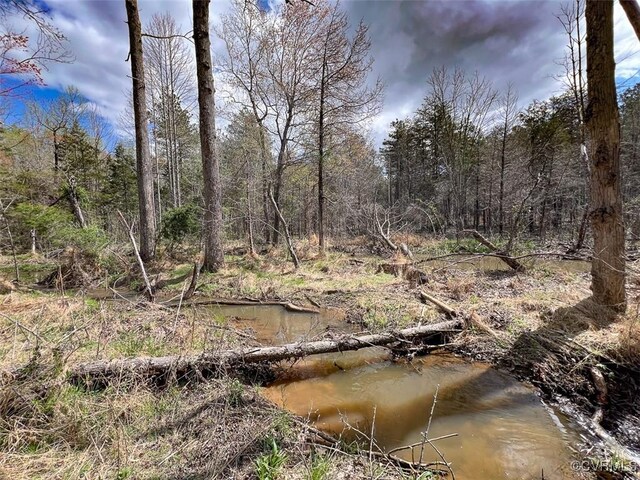 116.32ACRES Gilliam Mill Rd, Dillwyn, VA 23936