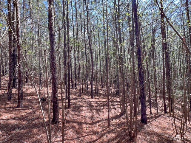 116.32ACRES Gilliam Mill Rd, Dillwyn, VA 23936