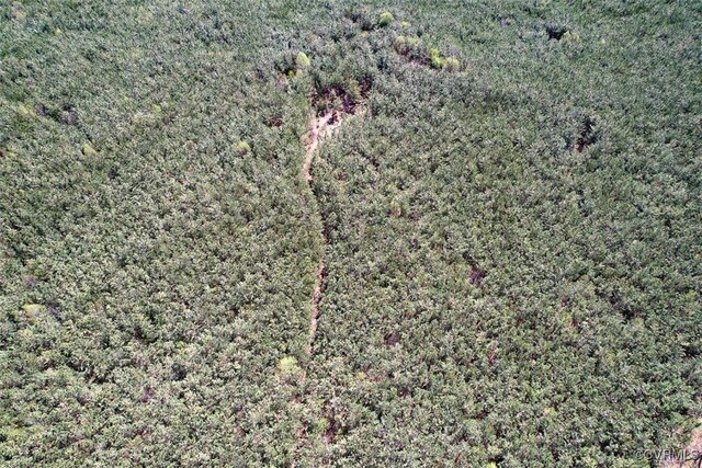 116.32ACRES Gilliam Mill Rd, Dillwyn, VA 23936