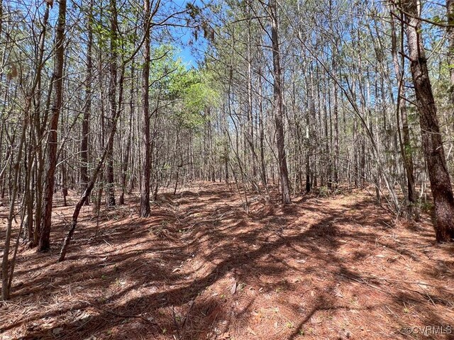 116.32ACRES Gilliam Mill Rd, Dillwyn, VA 23936