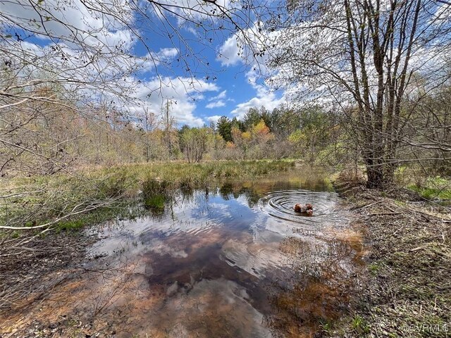 116.32ACRES Gilliam Mill Rd, Dillwyn, VA 23936