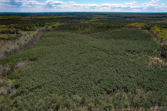 116.32ACRES Gilliam Mill Rd, Dillwyn, VA 23936