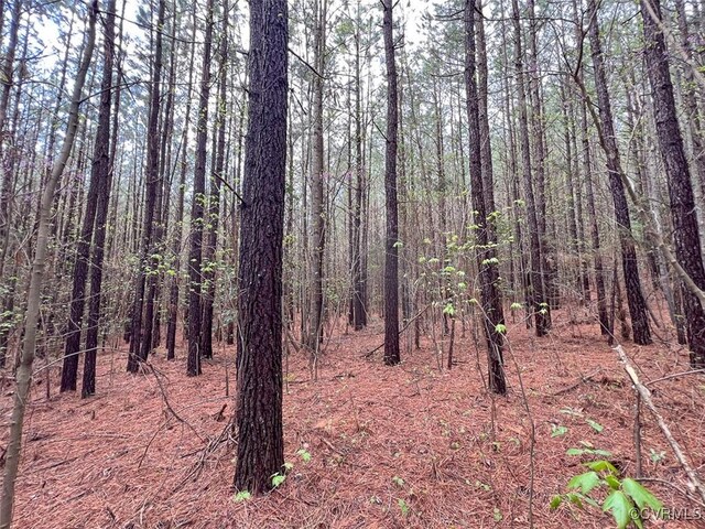 116.32ACRES Gilliam Mill Rd, Dillwyn, VA 23936