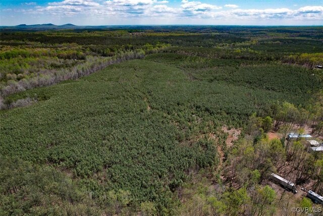 116.32ACRES Gilliam Mill Rd, Dillwyn, VA 23936