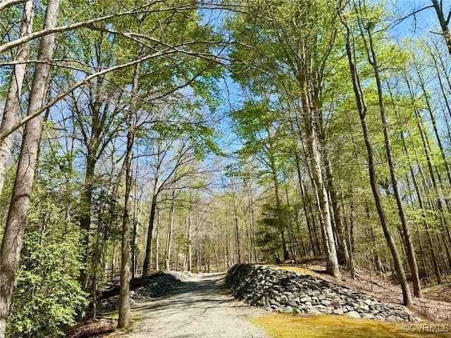 2222 Green Level Rd, King William, VA 23086 - view of street with a forest view
