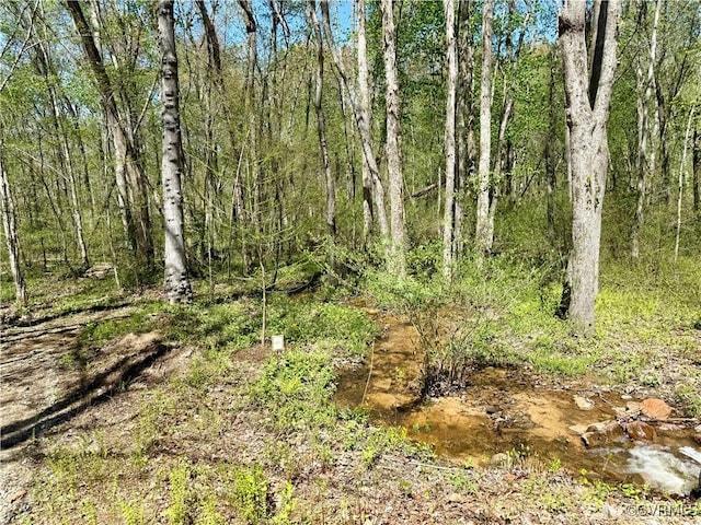 view of nature