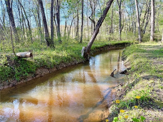 view of water feature