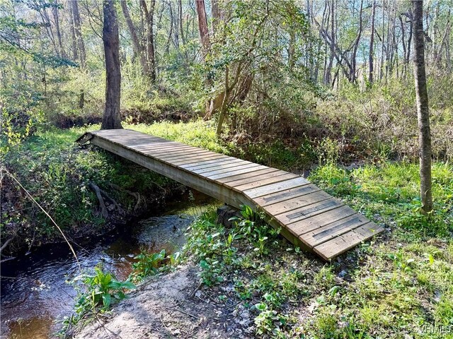 2222 Green Level Rd, King William, VA 23086 - view of property's community with a forest view
