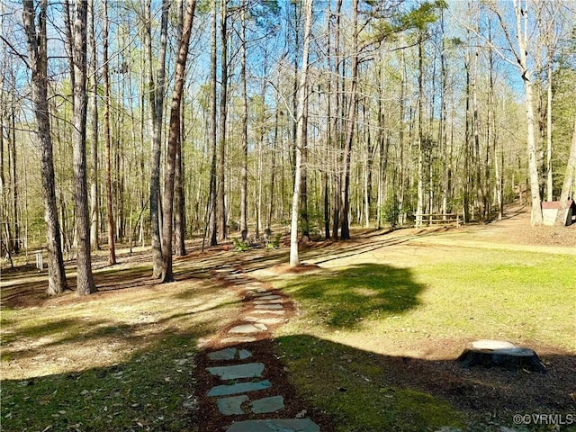 view of yard