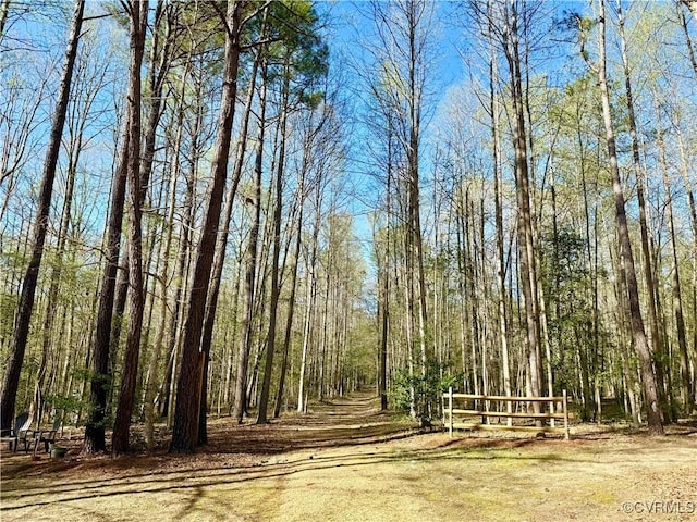 2222 Green Level Rd, King William, VA 23086 - view of yard with a forest view
