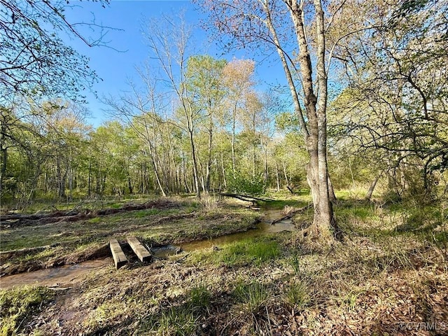 view of nature