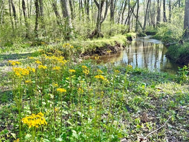 2222 Green Level Rd, King William, VA 23086 - view of woods