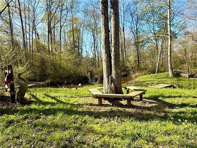 2222 Green Level Rd, King William, VA 23086 - view of home's community