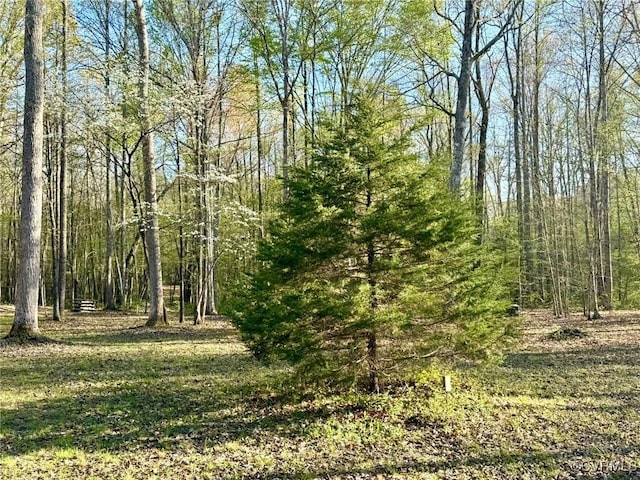 view of local wilderness with a view of trees