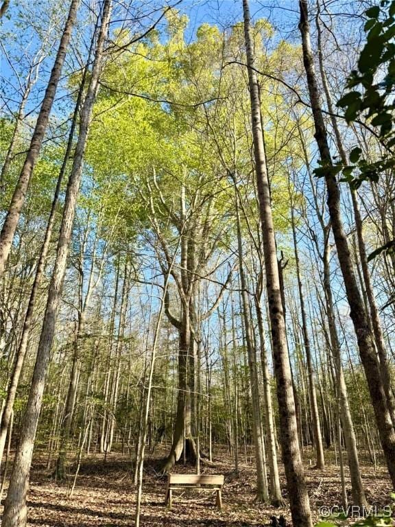 view of nature featuring a view of trees
