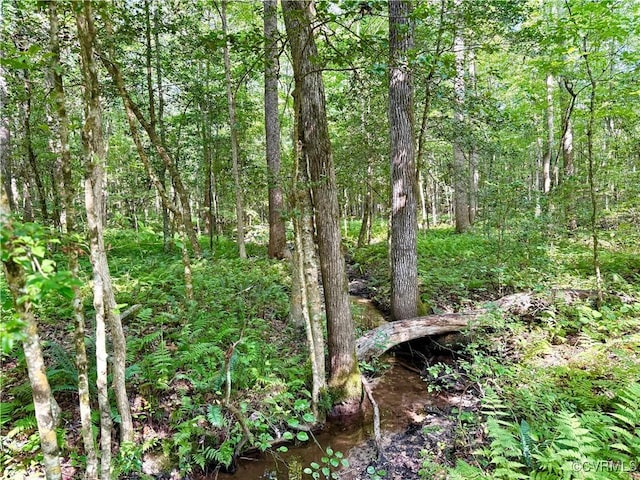 2222 Green Level Rd, King William, VA 23086 - view of woods
