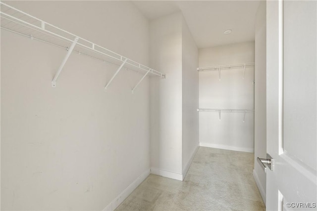 walk in closet featuring carpet flooring