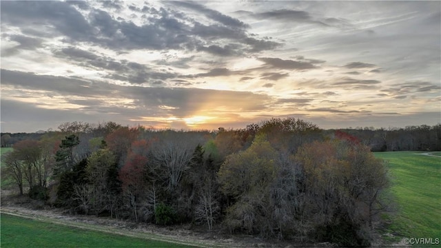 1850 Cardwell Rd, Crozier, VA 23039 - photo 18