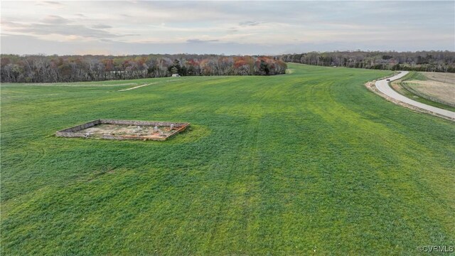 1850 Cardwell Rd, Crozier, VA 23039 - photo 21