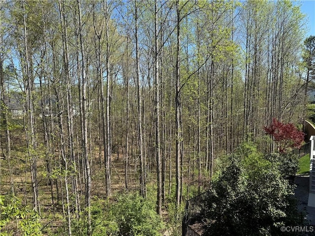 view of local wilderness featuring a view of trees