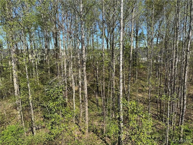 view of nature with a wooded view
