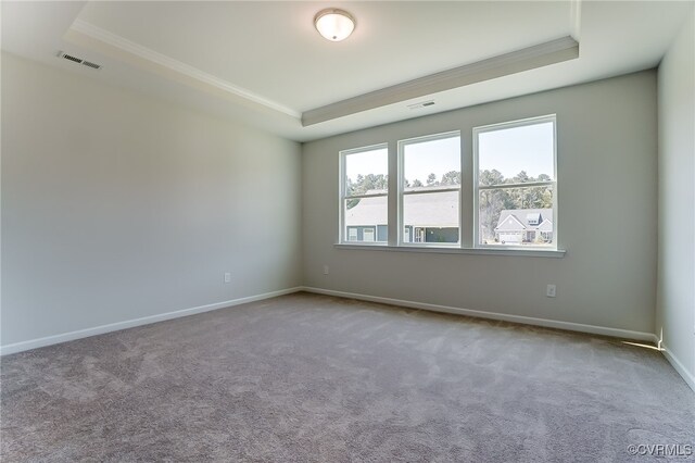 spare room featuring crown molding, carpet, and a tray ceiling