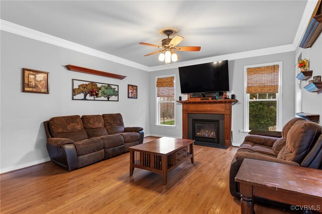 living area featuring a ceiling fan, light wood-type flooring, crown molding, healthy amount of natural light, and a glass covered fireplace