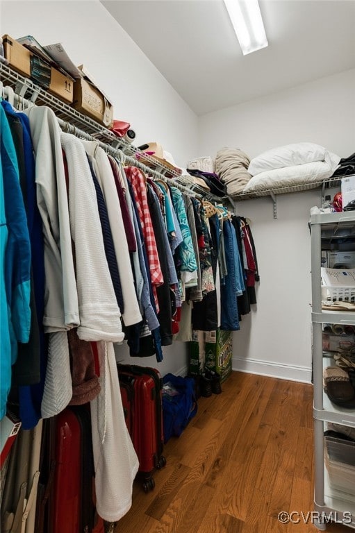 17248 Ivory Bill Ln, Chesterfield, VA 23838 - walk in closet featuring wood finished floors